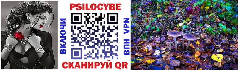 Галлюциногенные грибы Psilocybe Пермь