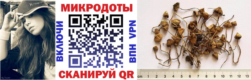 Псилоцибиновые грибы MAGIC MUSHROOMS  как найти   Пермь 